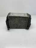 Ladeluftkühler Audi A4 (8E, B7) 8E0145806L