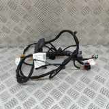 Türverkabelung hinten links SKODA KODIAQ II (PS7) 1.5 TSI mHEV 57H971693H