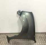 Kotflügel vorne links RENAULT KANGOO (KC0/1_) 1.4 (KC0C, KC0H, KC0B, KC0M)