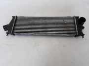 Ladeluftkühler RENAULT TRAFIC II Furgon (FL) 2.5 dCi 145 (FL0J) 8200411160