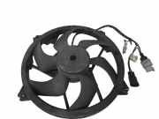 Kühlmodul Peugeot 407 ()