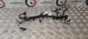 Türpolster hinten rechts MASERATI LEVANTE SUV (M161) 3.0 4WD 06700326240
