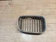Gitter Grill vorne links BMW 5 Touring (E39) 530 d 8159312