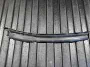 Dichtungsgummi für die hintere linke Tür LAND ROVER DISCOVERY V (L462) 3.0 D 4x4 S1XMOL462 HY3225385A