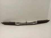 Gitter vorne unten MERCEDES-BENZ /8 (W115) 200 D (115.115)