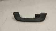 Dachgriff hinten links BMW X3 (G01, F97) xDrive 30d Mild-Hybrid