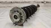 Stoßdämpfer hinten links BMW 5 (G30) 540 d xDrive 686661702