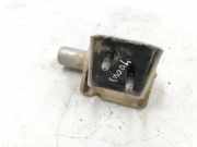 Türscharnier hinten links RENAULT MODUS / GRAND MODUS (F/JP0_) 1.2 (JP0C, JP0K, FP0C, FP0K, FP0P, JP0P, JP0T) 213724