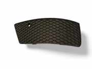 Gitter vorne unten MERCEDES-BENZ GL (X166) GL 500 4-matic (166.873) A1668851053