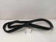 Türgummi rechts vorne Mercedes-Benz E-Klasse (W212) A2126970051