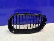 Gitter Grill vorne links