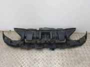 Armaturenbrett RENAULT FLUENCE (L30_) 2.0 16V 620360007R