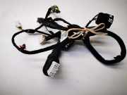 Kabel Tür Kia Sportage 3 (SL) 11127040