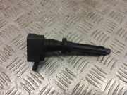 Zündspule Land Rover Range Rover IV (L405) DX2312A366AC