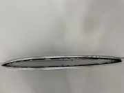 Dachreling links BMW 5er Touring (F11) 8049128