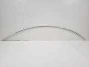 Rechte Dachleistenverkleidung MERCEDES-BENZ CLS (C218) CLS 350 CDI (218.323) A2186901139