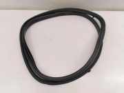 Dichtungsgummi der hinteren Tür (an der Karosserie) NISSAN X-TRAIL IV (T33) 1.5 VC-T Mild Hybrid