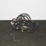 Türverkabelung hinten rechts BMW 7 (G11, G12) 730 d 4204369 1107810