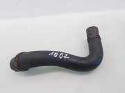 Schlauch Kühlung PEUGEOT 1007 (KM_) 1.4
