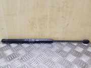 Heckklappe Gasdruckfeder links KIA SPORTAGE V (NQ5) 1.6 T-GDI AWD 817703W000