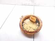 Kraftstoffpumpe VW Touareg I (7L) 7L8919679E