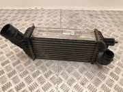 Ladeluftkühler CITROËN DS5 2.0 HDi 165 9674720580