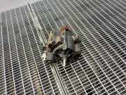 Kraftstoffpumpe Renault Kadjar (HA, HL) 167003669R