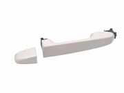 Türaußengriff hinten links SUBARU OUTBACK (BR) 2.5 i AWD (BR9) J4111736