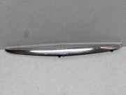 Stoßstangenzierleiste vorne rechts MERCEDES-BENZ A (W168) A 160 CDI (168.007) A1688850174