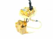 Kraftstoffpumpe Land Rover Range Rover Evoque I (L538) K8D29H307EB