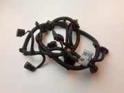 Kabelbaum Kia Sportage 4 (QL, QLE) 91880F1600