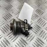 AdBlue Einspritzdüse HYUNDAI SANTA FÉ IV (TM) 2.2 CRDi AWD 29630-4A800