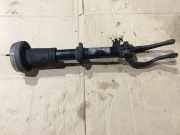 Stoßdämpfer vorne links BMW X5 (E70) xDrive 30 d 6781920