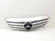 Kühlergrill oben Mercedes-Benz B-Klasse Sports Tourer (W245) 235100001
