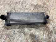 Ladeluftkühler FORD TRANSIT CUSTOM 2.0 EcoBlue GK216K775AE