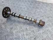 Nockenwelle ALFA ROMEO MITO (955_) 1.4 TJet 55247603