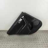 Türpolster hinten links TOYOTA RAV 4 V (XA50) 2.5 Hybrid (AXAH52) 67640-42640