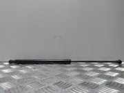 Heckklappendämpfer rechts Audi A4 (8E, B6) 8E9827552E