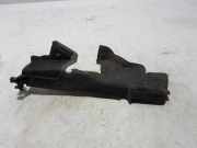 Kühlerluftumlenker RENAULT MEGANE III Hatchback (BZ0_) 1.2 TCe 214994320R