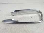 Gitter Grill vorne rechts BMW 6 Gran Coupe (F06) 640 d 7362702