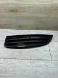 Gitter vorne unten VW PASSAT B6 (3C2) 1.9 TDI 3C0853665