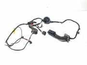 Kabel Tür vorne rechts AUDI A5 Sportback (8TA) 2.0 TDI 8T8971029AM 8TB010766SP