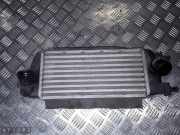 Ladeluftkühler Fiat Panda Van (312) 2341310838