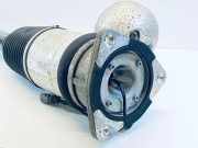 pneumatischer Stoßdämpfer hinten links