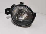 Nebelscheinwerfer links vorne Renault Laguna II Grandtour (G) 8200002469