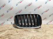 Vorderer oberer Gitter BMW X5 (E70) xDrive 30 d 7171396 7157688