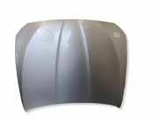Motorhaube BMW 5 (F10) 520 d