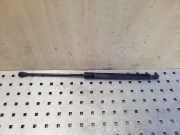 Heckklappendämpfer links Dacia Sandero I (BS) 904529943R