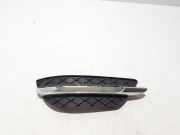 Blende Nebelscheinwerfer Mercedes-Benz C-Klasse (W204) A2048803224