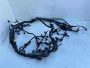 Motor Kabelbaum TOYOTA RAV 4 III (_A3_) 2.2 D 4WD (ALA30_) 8212142A80